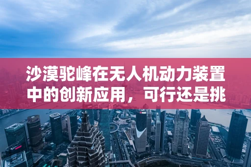 沙漠驼峰在无人机动力装置中的创新应用，可行还是挑战？